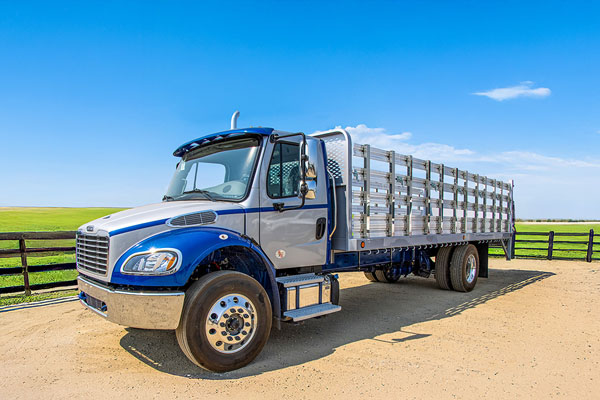 Freightliner Flatbed Body - WO 201734