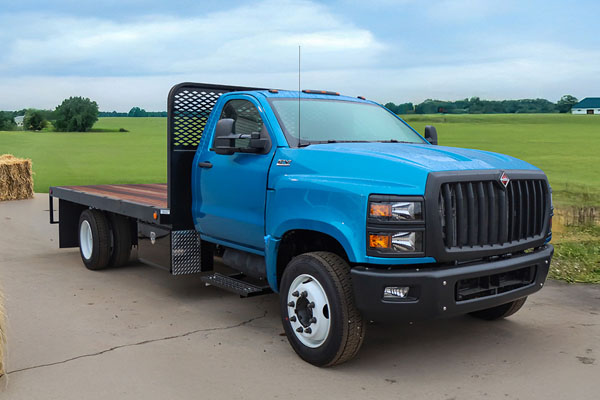 International Flatbed Body - WO 267242