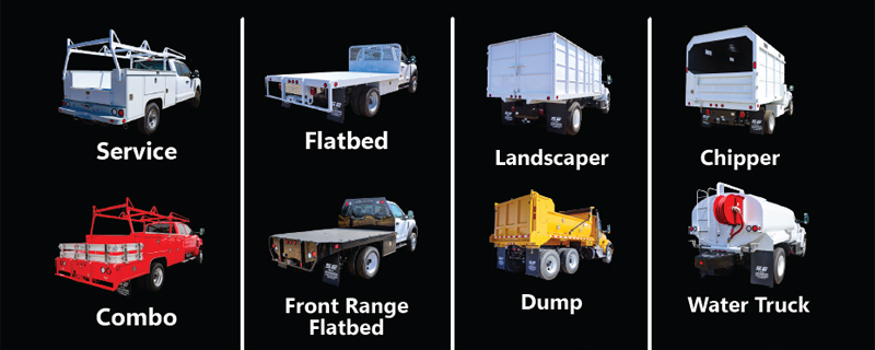 Scelzi Body Lineup Overview